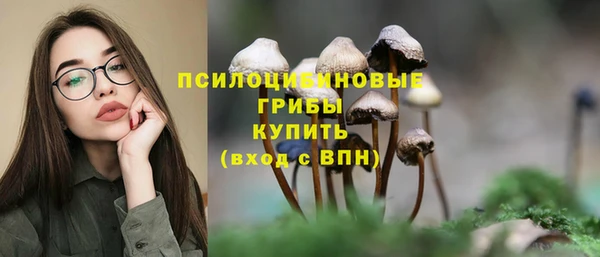 тгк Краснослободск