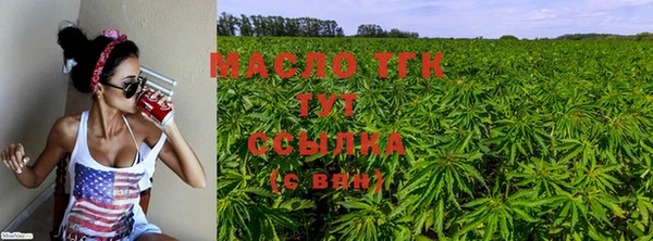 тгк Краснослободск