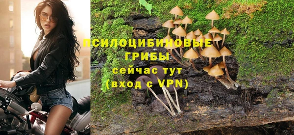 тгк Краснослободск
